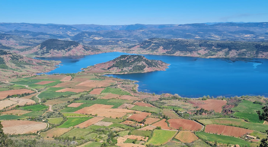 Sortie initiation à l'aviron pour les adhérent LPO